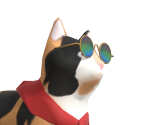 Hank (Henry) the Munchkin Cat - Radiant One