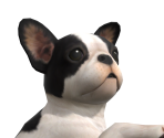 Nintendog Trophy - Super Smash Bros. for Wii U