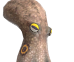 Octopus - Animal Crossing: New Horizons