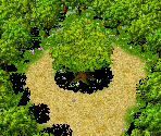Chocobo Woods - Final Fantasy 3