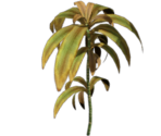 Plant 3 - BioShock 2