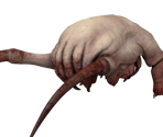 Headcrab - Half-Life: Alyx
