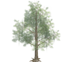 Trees (Hyrule Field) - Hyrule Warriors
