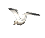 Sea Gull - Sonic Heroes