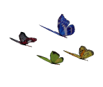 Butterfly - Sonic Heroes