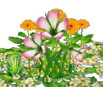 Seaside Hill Plants - Sonic Heroes
