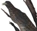 Gaping Dragon - Dark Souls
