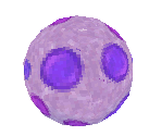 Dragon Egg - Spyro: Shadow Legacy