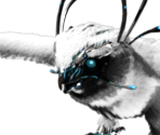 Snow Owl - Ark: Survival Evolved