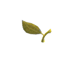 Golden Apple Stem - LittleBigPlanet 2