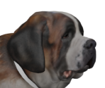 Sumo - Detroit: Become Human