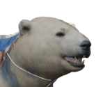 URS12 Polar Bear - Detroit: Become Human