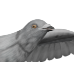 Pigeon - Detroit: Become Human