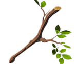 Tree Branch - The Legend of Zelda: Breath of the Wild