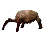 Headcrab - Half-Life 2