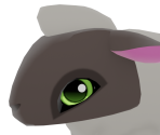 Sheep - Animal Jam: Play Wild!