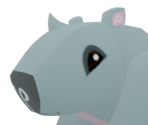 Polar Bear - Animal Jam: Play Wild!