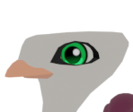 Ostrich - Animal Jam: Play Wild!