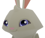 Bunny / Spring Bunny - Animal Jam: Play Wild!