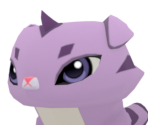 Scottish Fold Cat - Animal Jam: Play Wild!