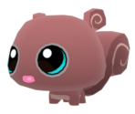Pet Squirrel - Animal Jam: Play Wild!
