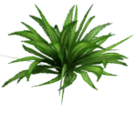 Grass - The Legend of Zelda: Ocarina of Time 3D