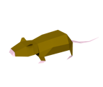 Rat - Frogger