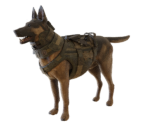 Riley - Call of Duty: Ghosts