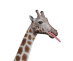 Tall Goat - Goat Simulator
