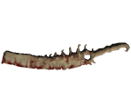 Machete - Succubus: Prologue
