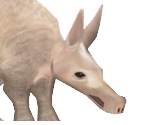 Aardvark Baby - Zoo Tycoon 2
