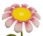 Giant Flowers - Giana Sisters: Twisted Dreams