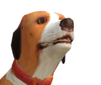 Jake - Dog's Life