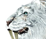 Aava, the King's Pet - Dark Souls II
