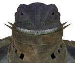 Flexile Sentry - Dark Souls II