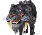 Lud & Zallen, the King's Pets - Dark Souls II