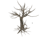 Screaming Tree (Debug) - Dark Souls II