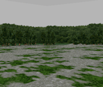 Asian Forest - Dinosaur King