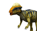 Stegoceras - Dinosaur King