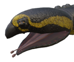 Cavern Crasher (Baby) - School of Dragons