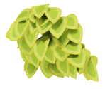 Yoshi Fruit Bushes - New Super Mario Bros. Wii