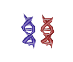 DNA - Disney's Stitch: Experiment 626