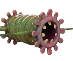 Springworm - The Eternal Cylinder