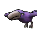 Crow - Ivy the Kiwi?