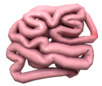 Small Intestines - Surgeon Simulator