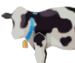 Cow (Road Wario) - WarioWare Gold