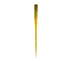 Skeletal Tail - Dinosaur Planet (Prototype)