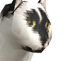 Cat - Kanpeki