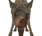 Royal Rat Authority - Dark Souls II