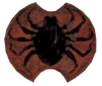 Spider Shield - Dark Souls